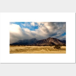 Anza Borrego Desert State Park Posters and Art